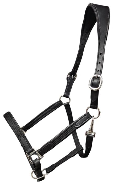 Griffith Black Hybrid Halter