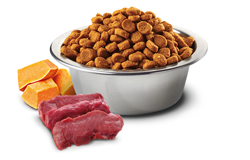 Farmina N&D Venison & Pumpkin for Adult Dogs