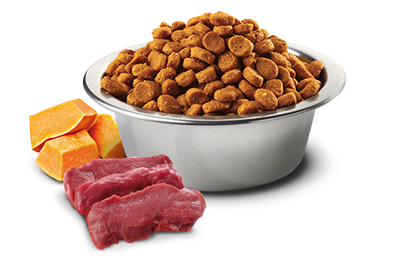 Farmina N&D Venison & Pumpkin for Adult Dogs