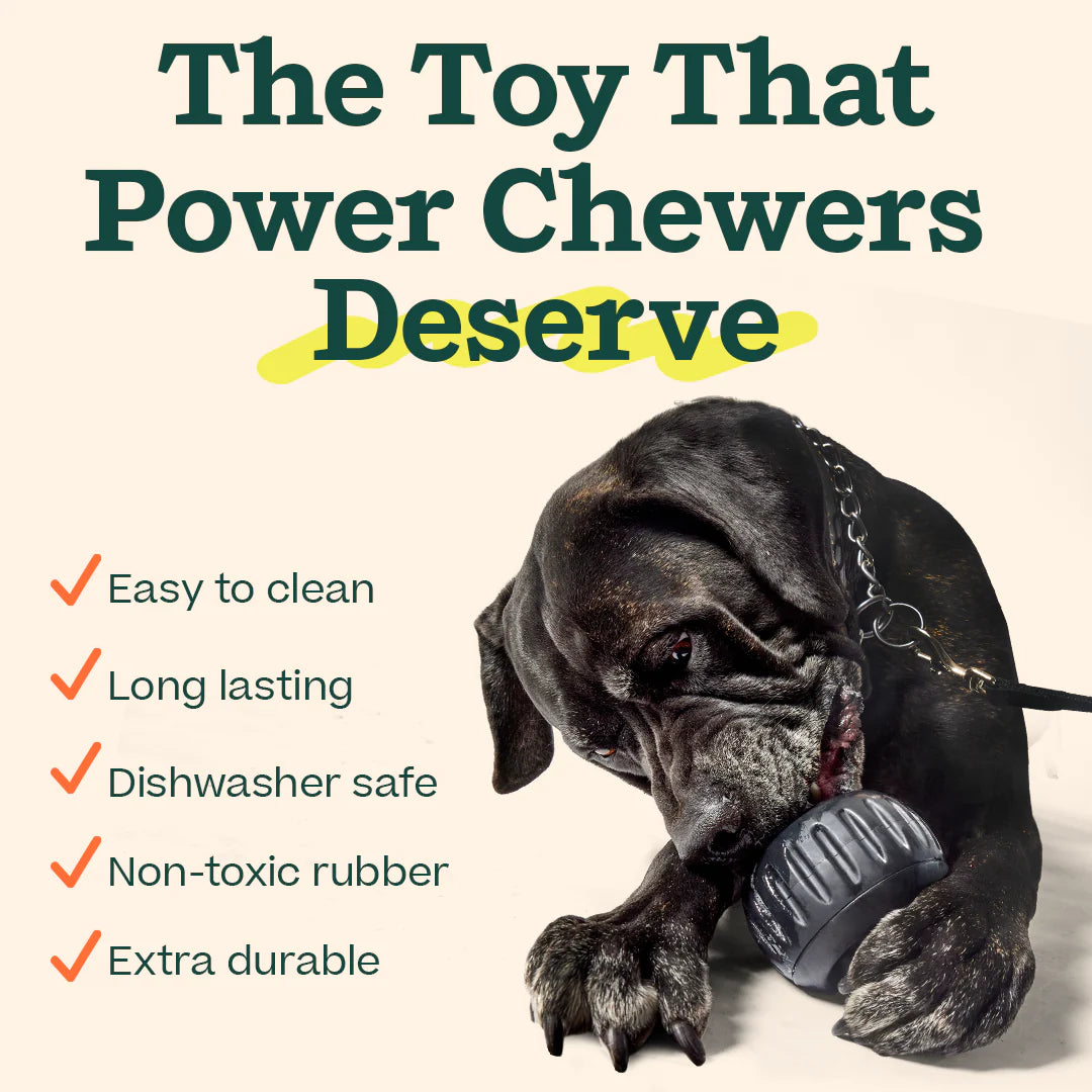 Woof Pupsicle Power Chewer