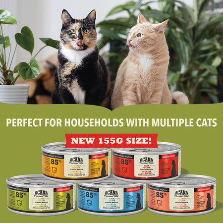 Acana Premium Pate Tuna Recipe in Bone Broth for Cat 5.5oz