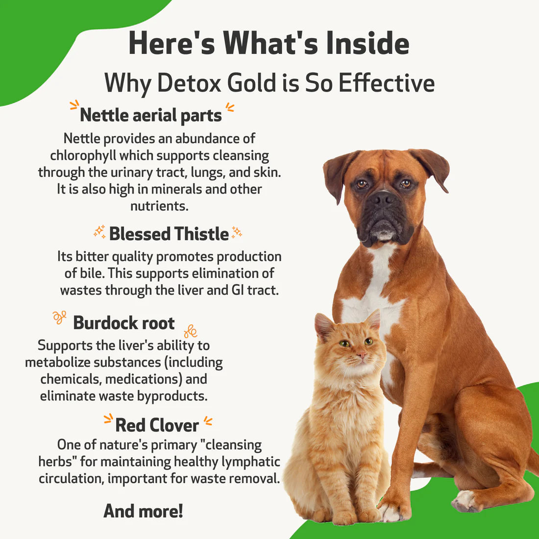 PetWellbeing Detox Gold for Dogs & Cats