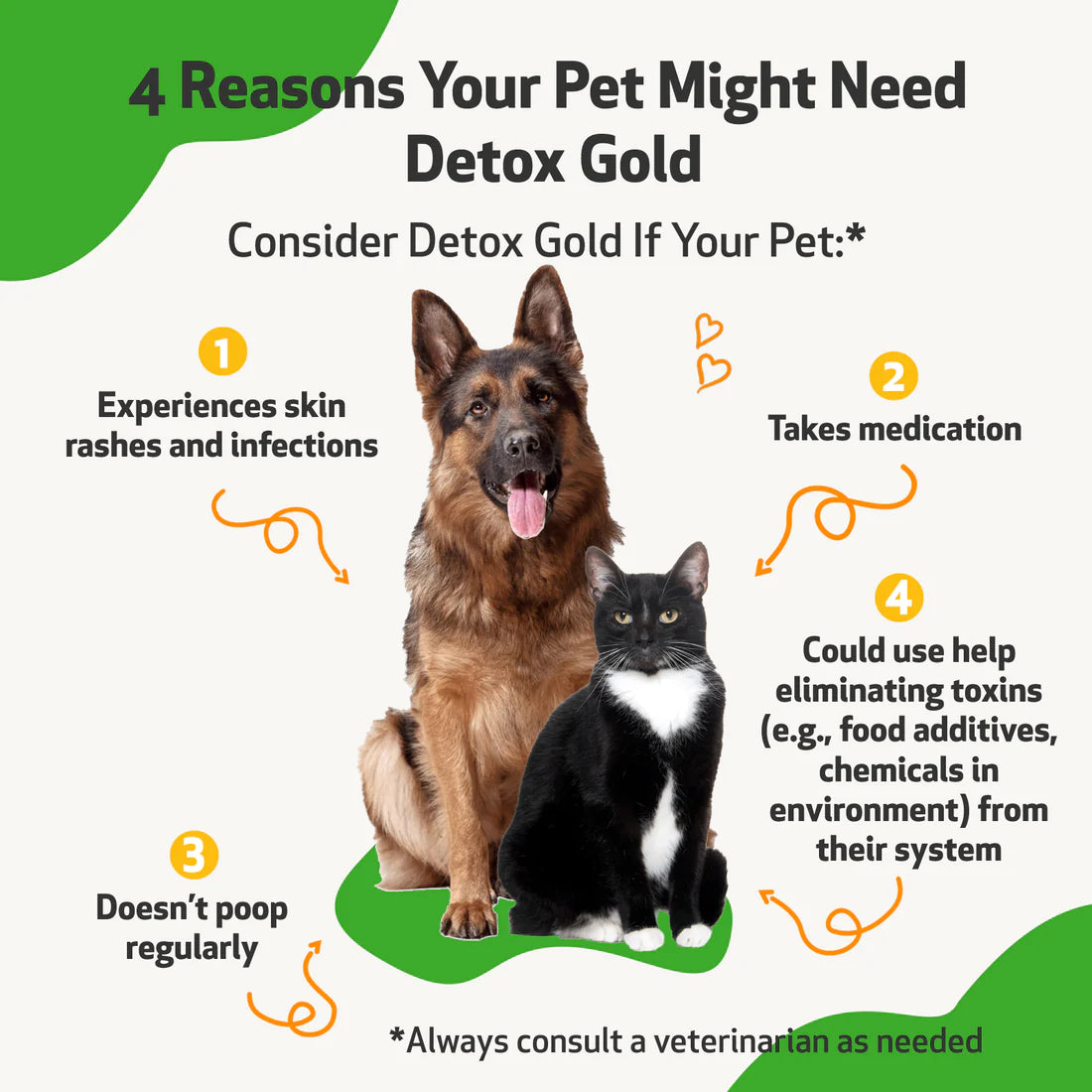 PetWellbeing Detox Gold for Dogs & Cats