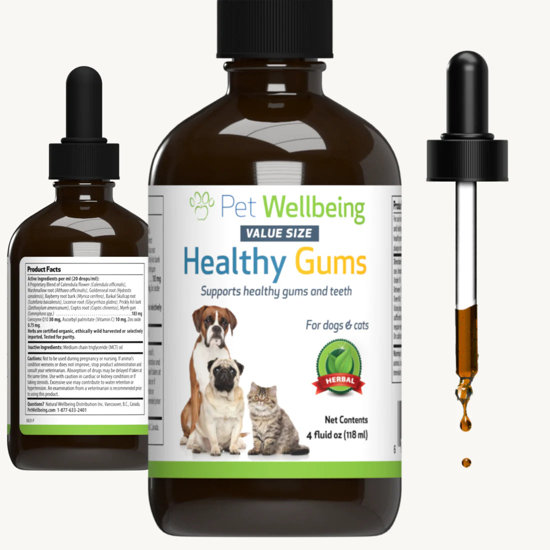 Pet Wellbeing Healthy Gums for Periodontal Health