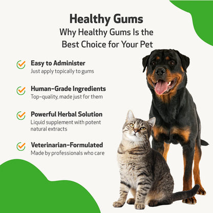 Pet Wellbeing Healthy Gums for Periodontal Health