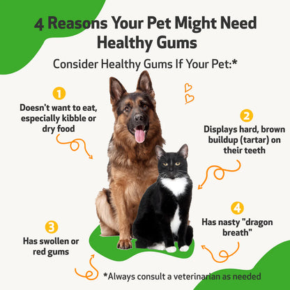 Pet Wellbeing Healthy Gums for Periodontal Health