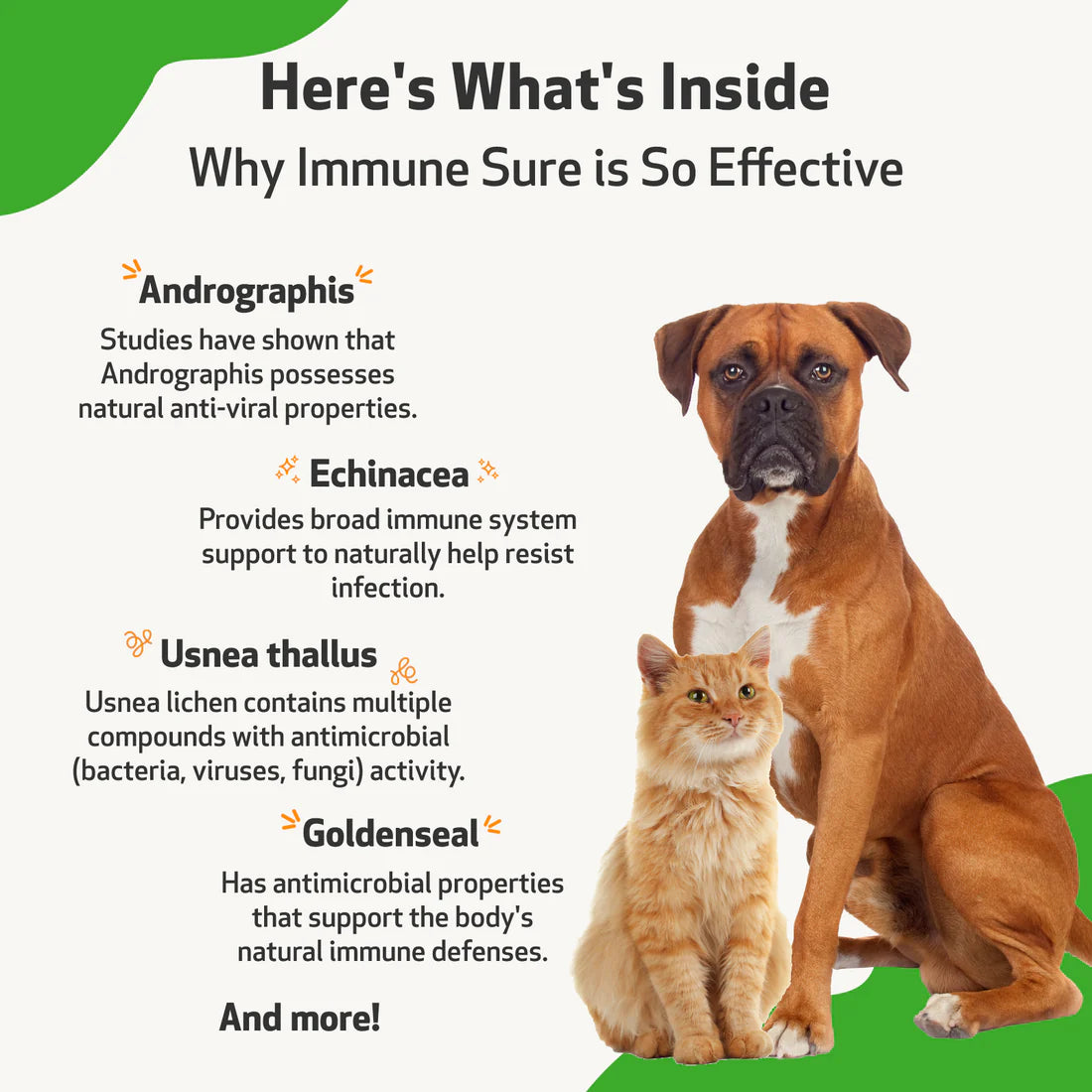 PetWellbeing Immune Sure for Dogs & Cats