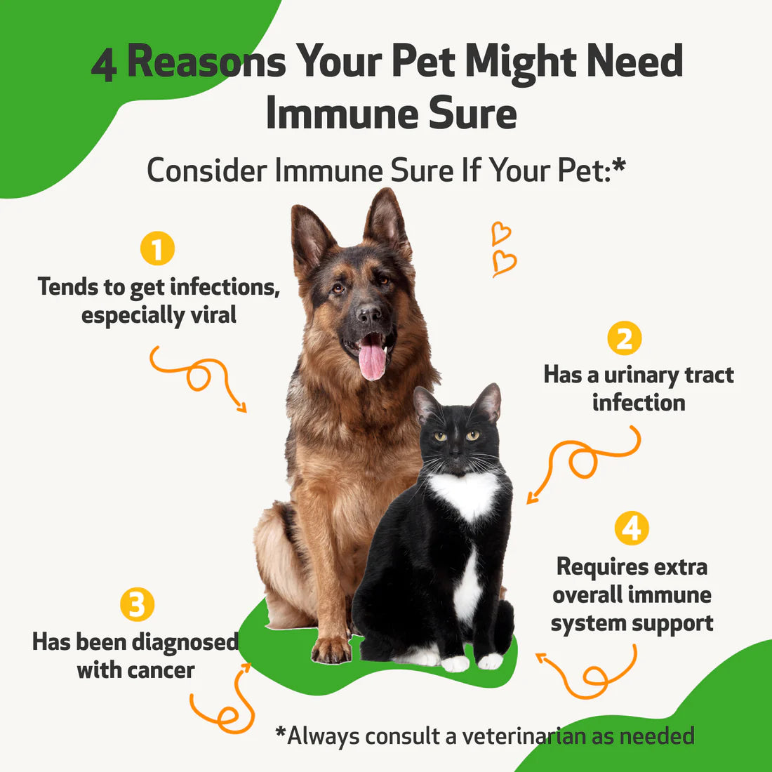 PetWellbeing Immune Sure for Dogs & Cats