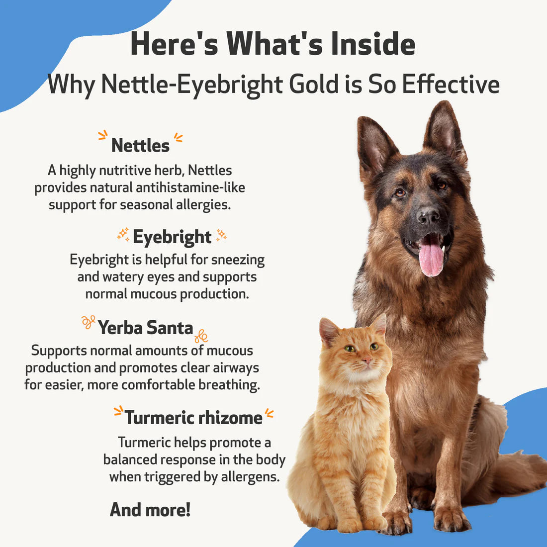 Pet Wellbeing Nettle Eyebright Seasonal Allergy Defense for Dogs & Cats