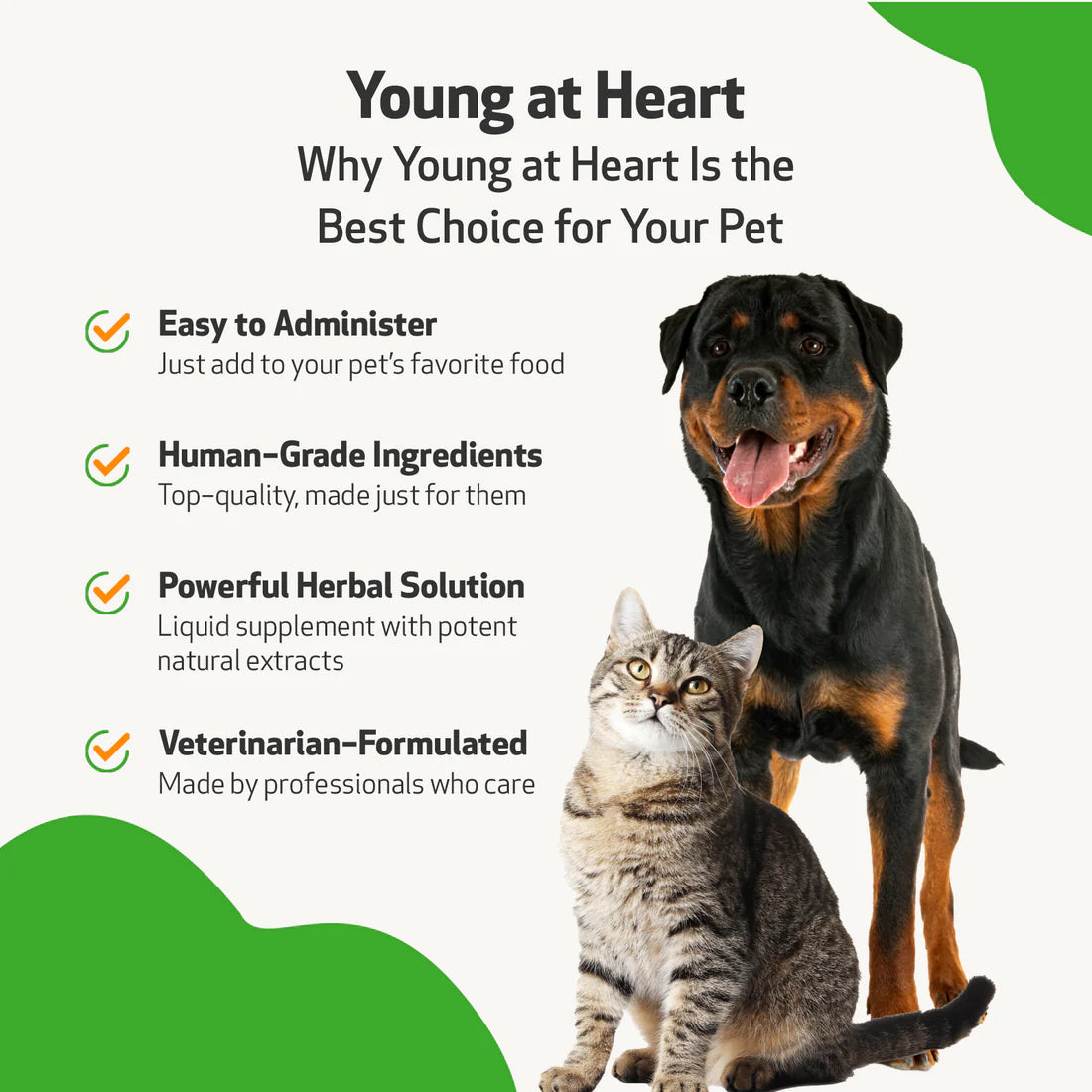 Pet Wellbeing Young at Heart for Healthy Maintenance