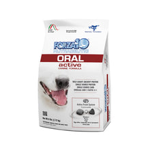 6LB Forza10 Oral Active Dog