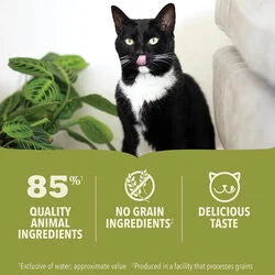 Acana Premium Pate Lamb Recipe in Bone Broth for Cat 5.5oz