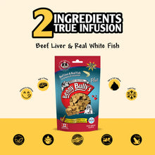 Benny Bullys Plus Fish Cat Treats 25g