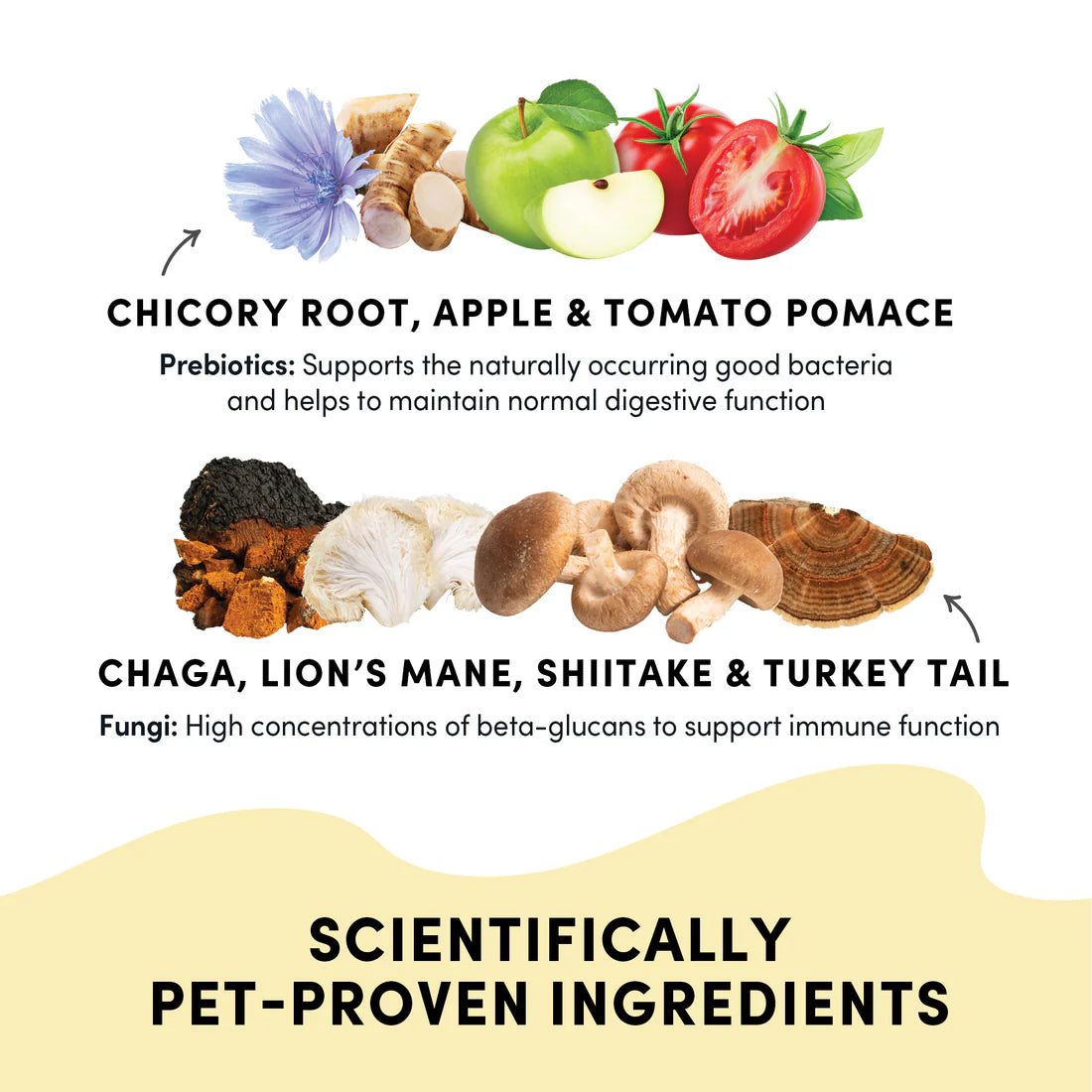 Crumps Naturals Gutsy Immune Bites for Dogs