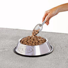 Primal Pet Foods Canine Turkey & Sardine Pronto 4lb