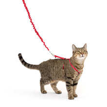 Come With Me Kitty Harness & Bungee Leash Red