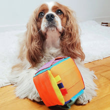 Fou Fou Hide 'n Seek Snuffle Cube