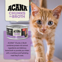 Acana Chicken & Salmon Chunks in Bone Broth Wet Kitten Food 5.5oz