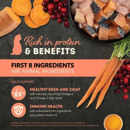 Acana Chicken & Salmon Chunks & Broth Wet Cat Food 5.5oz