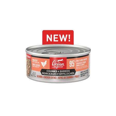 Orijen Chicken & Salmon Chunks & Shreds Wet Kitten Food 5.5oz