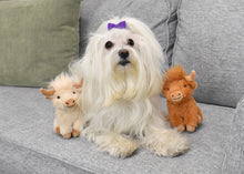 Multipet Minipet Highland Cow Dog Plush Toy