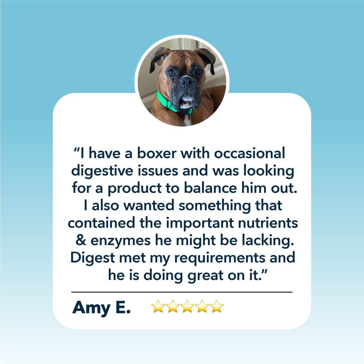 Four Leaf Rover Digest  - Digestive Enzyme Support for Dogs 37g