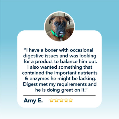 Four Leaf Rover Digest  - Digestive Enzyme Support for Dogs 37g