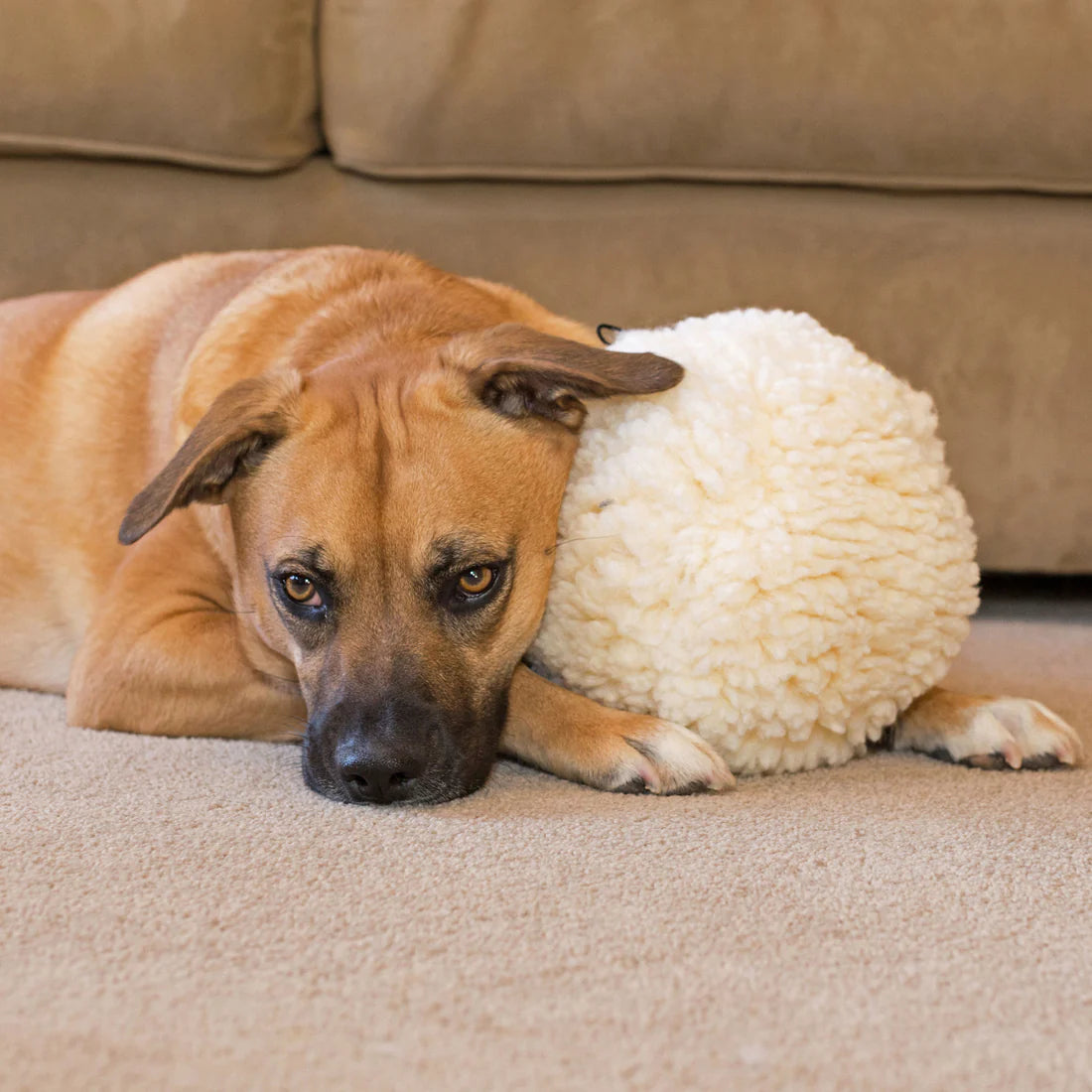 HuggleHounds Fleece Ball Plush Dog Toy