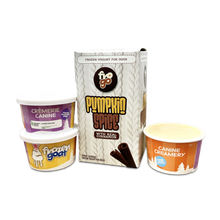 Frozen Goat Pumpkin Spice Frozen Yogurt for Dogs 3 x 100ml