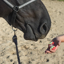 Bosco & Roxy's Peppermint Swirl Horse Cookie