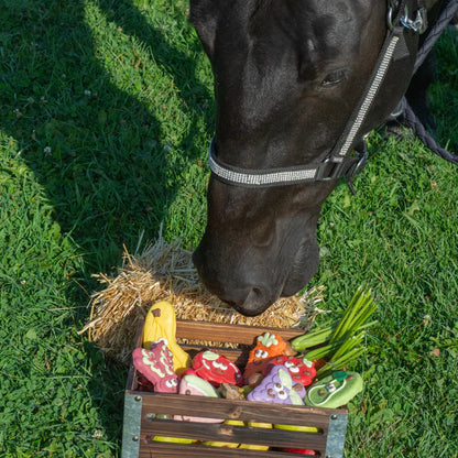 Bosco & Roxy's Ba-neigh-na Banana Horse Cookie