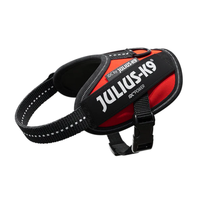 Julius K9🍁 Red IDC Power Harness