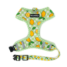 Bcuddly Lemons Control Dog Harness