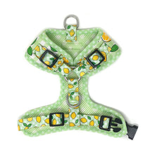 Bcuddly Lemons Control Dog Harness