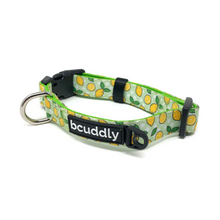 BCuddly Lemons Dog Collar