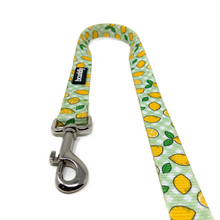 BCuddly 6ft Lemons Dog Leash