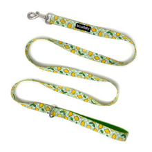BCuddly 6ft Lemons Dog Leash
