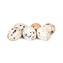 Iron Will Raw 🍁Quail Eggs 18pk