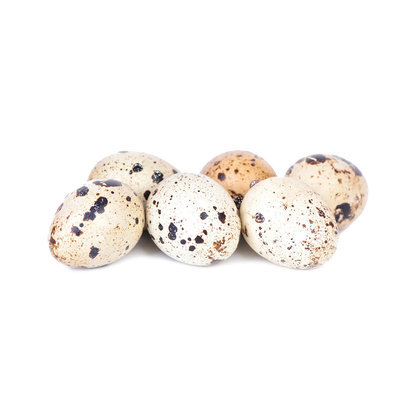 Iron Will Raw 🍁Quail Eggs 18pk