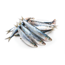 Iron Will Raw Sardines 1lb