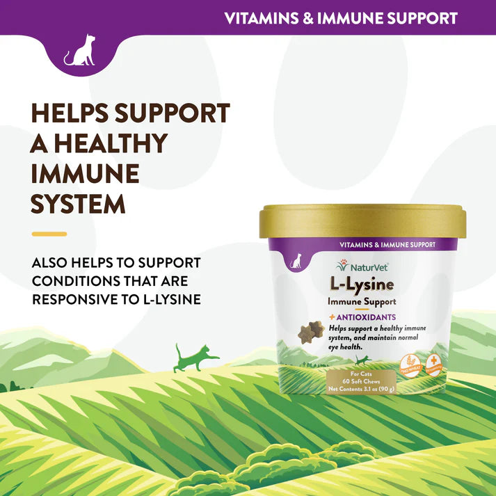 Naturvet L-Lysine Immune Support for Cats 60ct