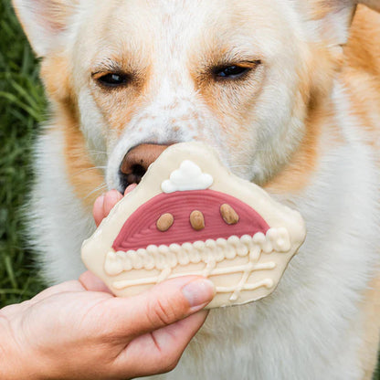 Bosco & Roxy's Always Room for Pie! Dog Cookie