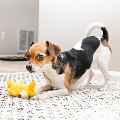 Kong Duckie - Extra Small