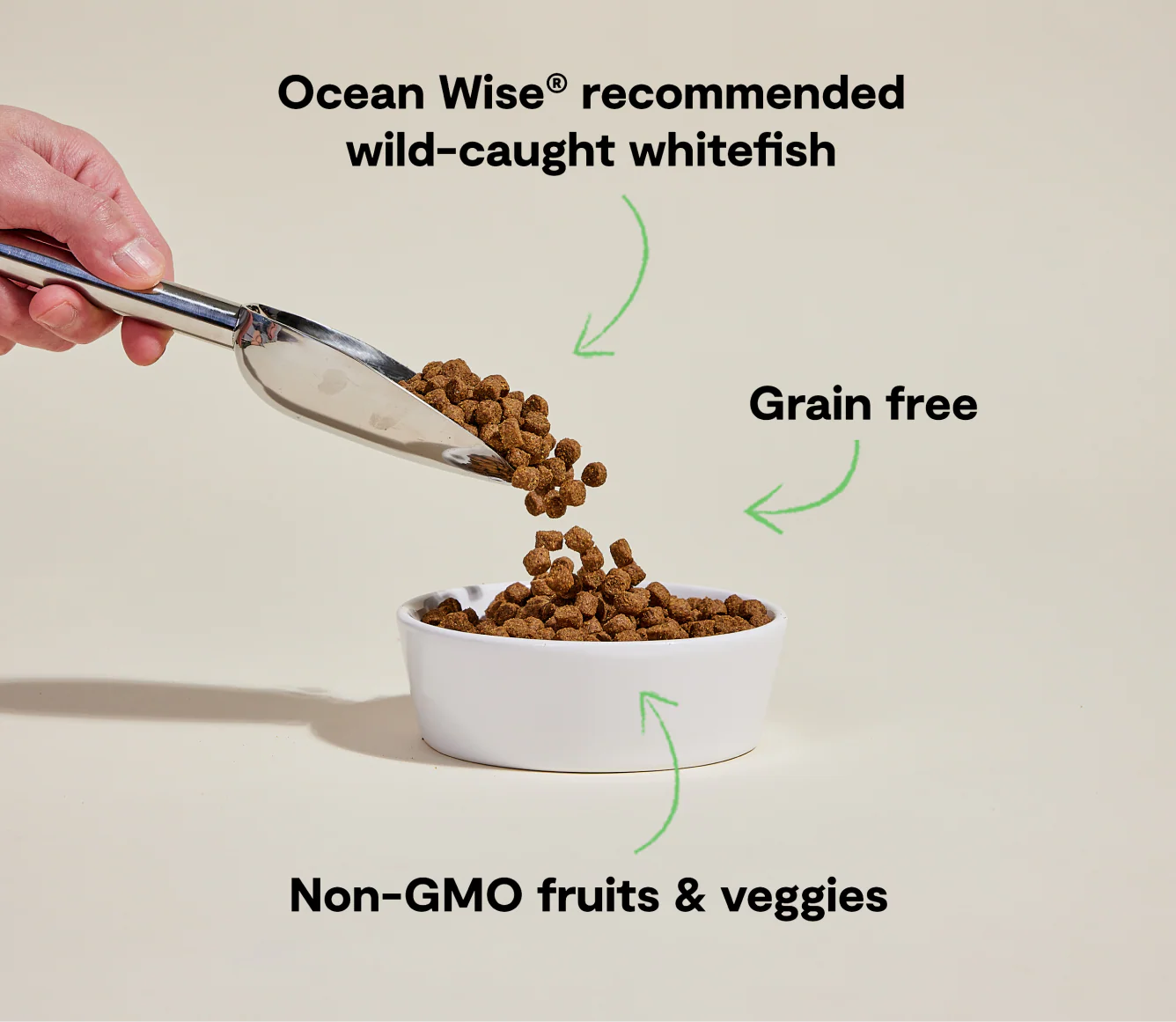 Open Farm Grain-Free Catch of the Season Whitefish Dry Dog Food