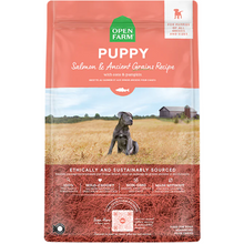 BB 11/25 - Open Farm  Puppy Salmon with Ancient Grains 22lb