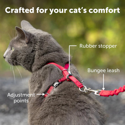 Come With Me Kitty Harness & Bungee Leash Red