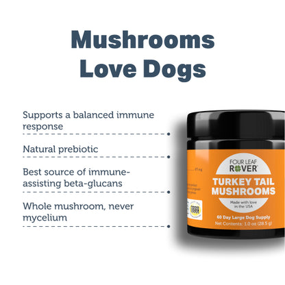 Four Leaf Rover Turkey Tail Mushrooms 28.5g