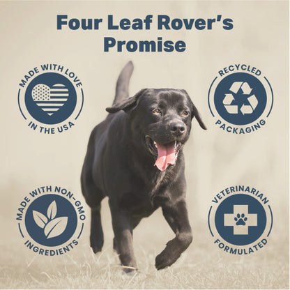 Four Leaf Rover Yeast Guard Plus  - Yeast Support Kit