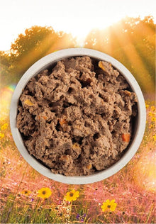 Acana Premium Pate Puppy Recipe in Bone Broth 363g