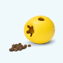 Rumbl Dandelion Enrichment Dog Toy